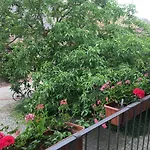 Luetzen-stadt Bed and Breakfast 3*