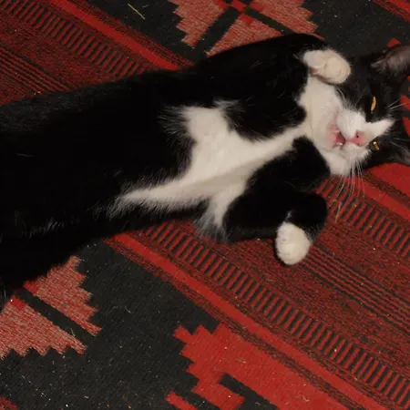 Luetzen-stadt Couette-café