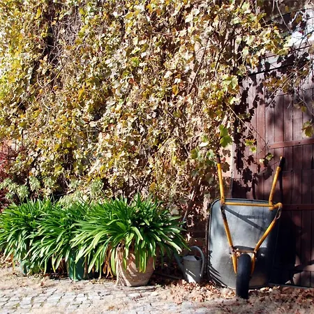 Couette-café Luetzen-stadt Lützen