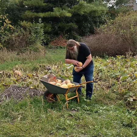 Couette-café Luetzen-stadt 3*
