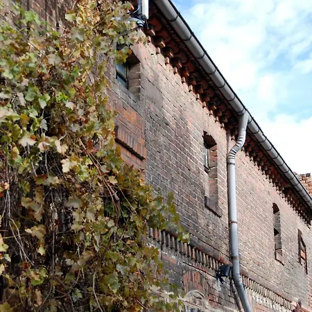 ベッド・アンド・ブレックファスト Landhaus Pension Luetzen-Stadt