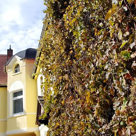 Luetzen-stadt Lützen