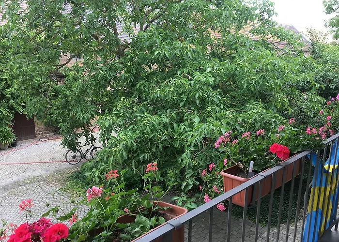 Luetzen-stadt Bed and Breakfast 3*