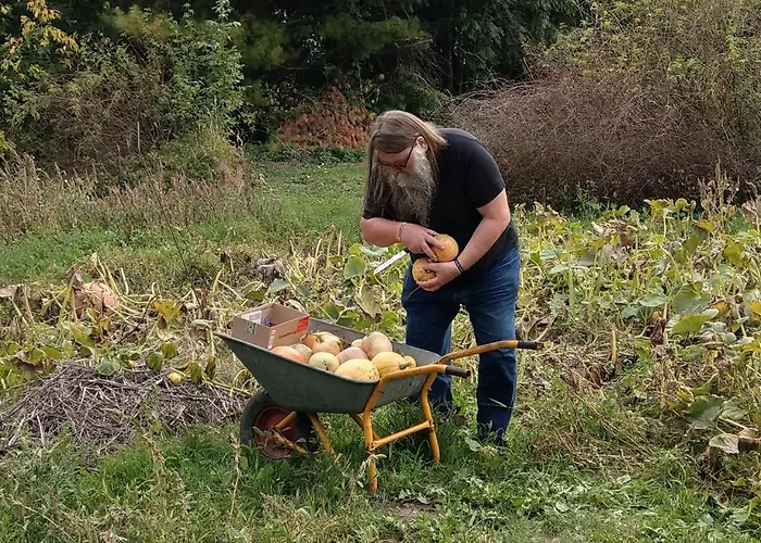 Bed and Breakfast Luetzen-stadt 3*