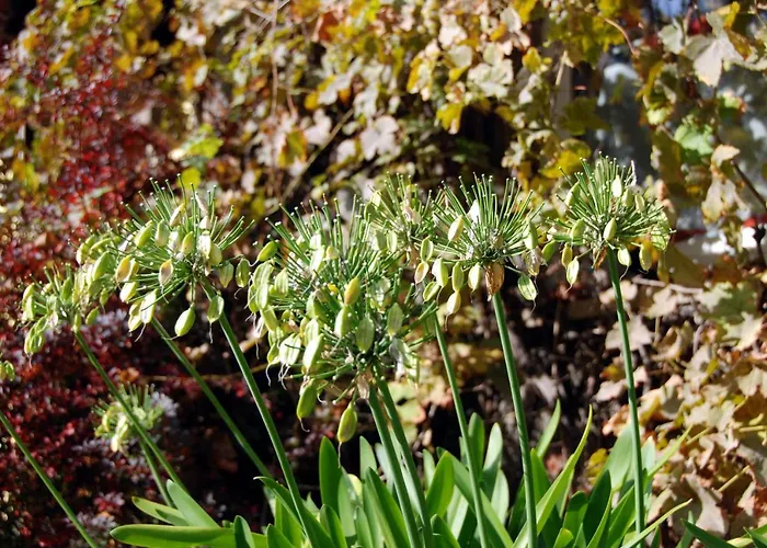 Luetzen-stadt Bed and Breakfast Lützen